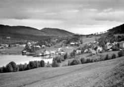 Foto trolig fra Nesset kommune. Fra Nordmøre museums fotosam