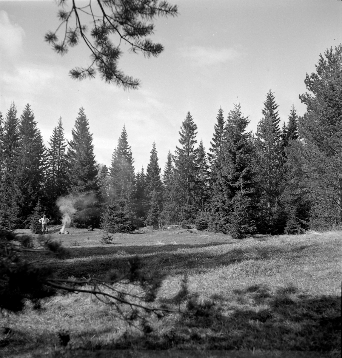 Nygårdsvollen ved Hommelvik