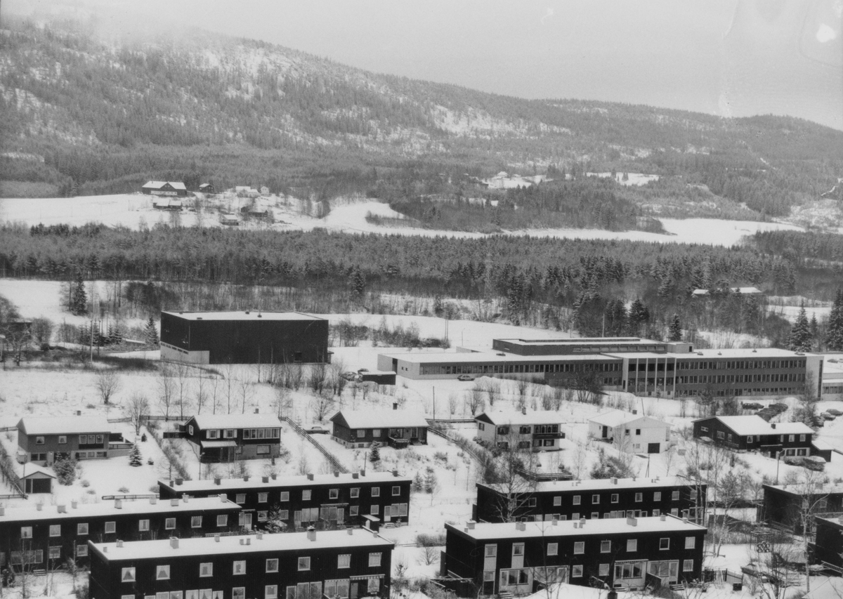 Nedre Bjertnes borettslag og Bjertnes videregående skole, med Bjertneshallen til venstre.