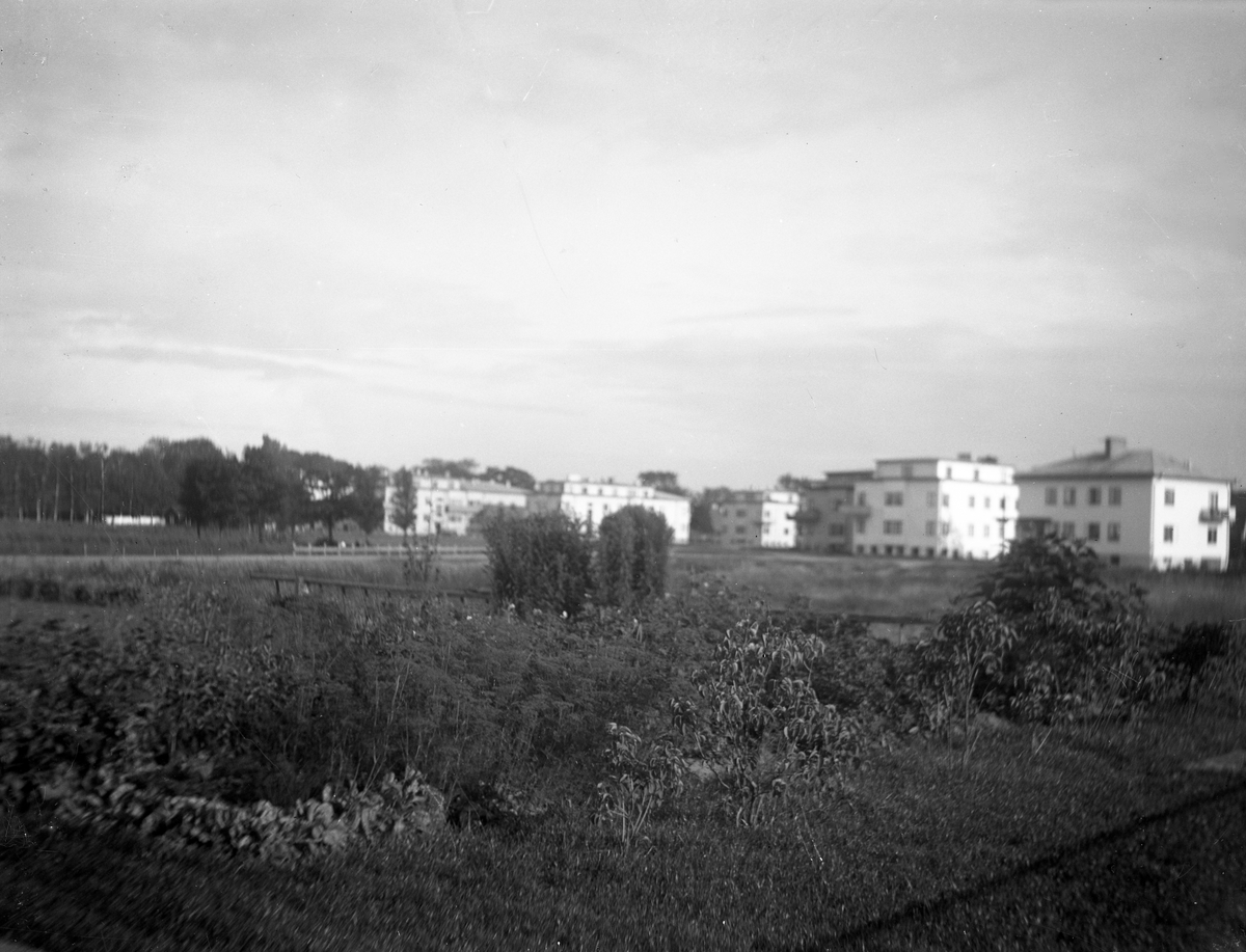 Ett urval bilder hittade i en fastighet på Sundsta, troligen tagna av en ingenjör Edvin Strömberg på 1930-talet.