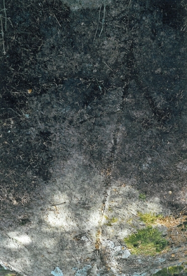 Foto av gränsmärke kallat Grävlingekullen/Grävlingakullen, bestående av en jordfast sten. På ovansidan är en inhuggen norrpil.                  
Raä 165 c, 2010-11-24
