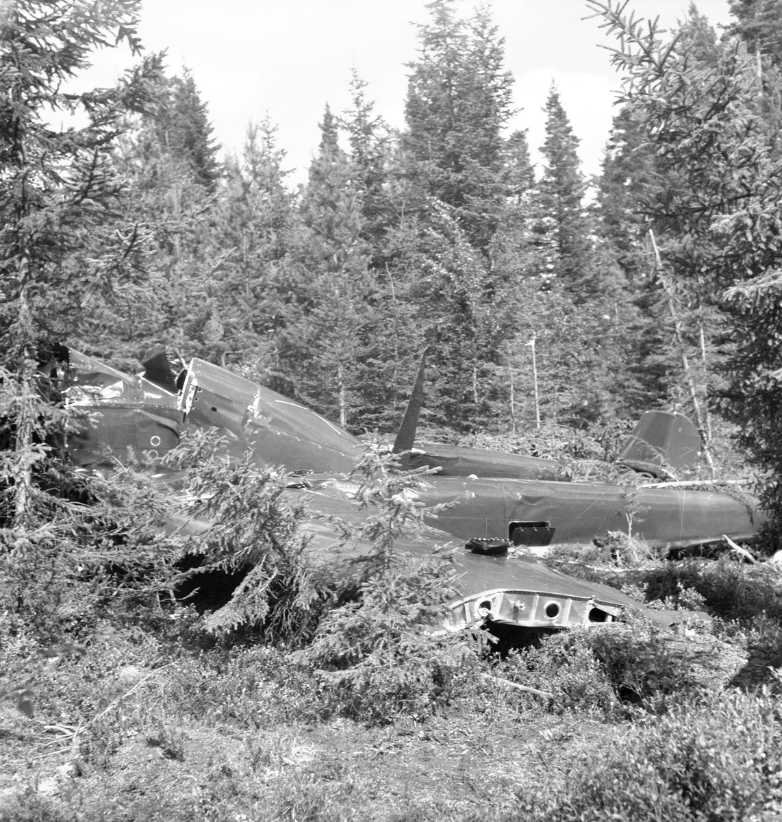 Flygolycka vid Ockelbo. Den 1 augusti 1951.