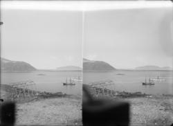 st. Wellmann station Danske Øen