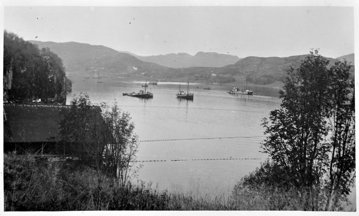 Notfiske på Bjugnfjorden ca. 1936