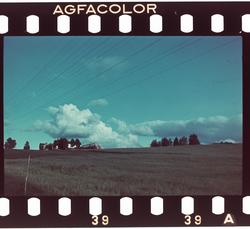 Åkerlandskap med telefonledninger over.