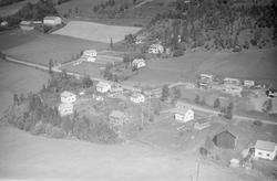 Segalstad, Østre Gausdal, Gausdal, 1958, gårder, gartneri, b