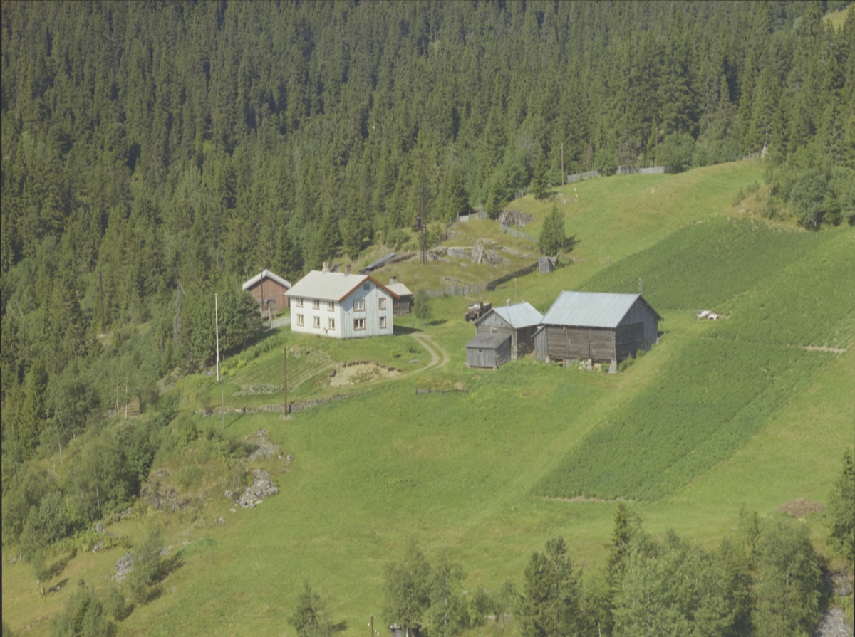 Høgset (Holelykja), gårdsbruk, hesjer, Svatsum, Vestre Gausdal