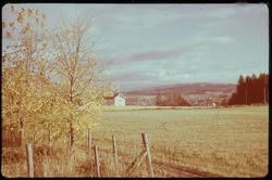 På Nesset i Levanger.