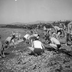 Badeliv og strandrydding på Vikhammerløkka