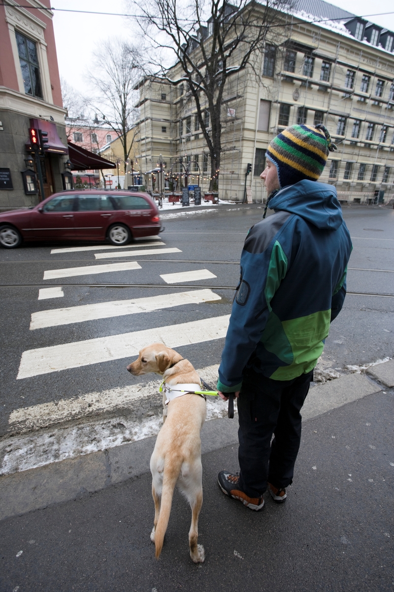 Førerhundskole. Førerhund på treningstur med førerhundtrener i området Majorstuen i Oslo.