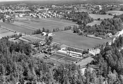 Dyhre gård og gartneri, skråfoto 1956.