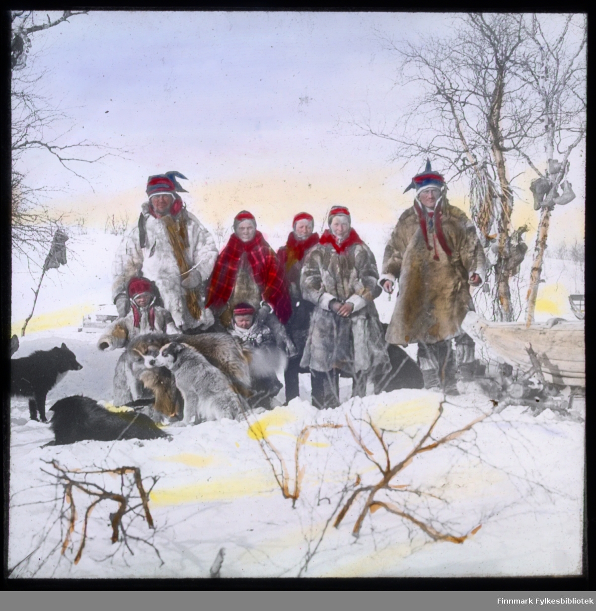 N.546 a) Kautokeino-samer står det på glassnegativet. En hel familie står oppstilt for fotografen. To menn og tre kvinner i vinterpesk, med samiske sjal og luer. Flere små barn er med på bildet og en flokk hunder sitter og ligger rundt familien. I treet til høyre ser man skaller (samiske sko) som henger i trærne. En slede er også plassert i høyre billedkant. Glassnegativet er håndkolorert.