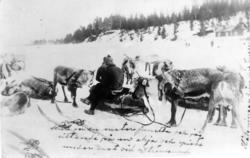 Almetjedåehkie jih bovtse/ gruppe og rein