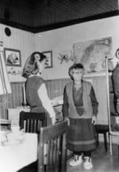 Almetjedåehkie/ gruppe