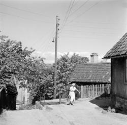 Enerhaugen.Flisberget ved Stupinngata.Juni 1959