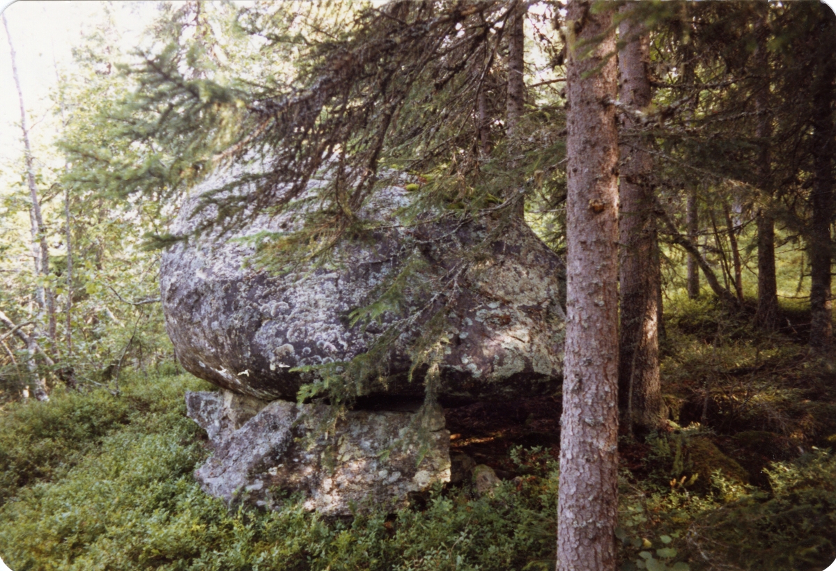En stor stein liggende i en skog. Steinen var trolig dele mellom Dølvesgodset og Brattrud, Sør-Aurdal.