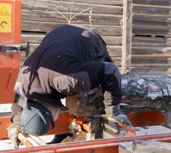 Tømrer står bøyd over tømmerstokk som ligger an til plankesaging.