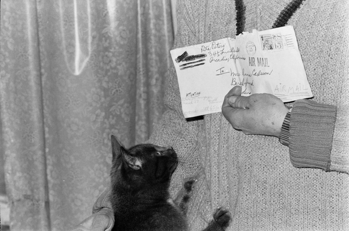 Brev och katt, Riala, april 1967