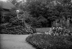 Gjøvik, ukjent hage/park?