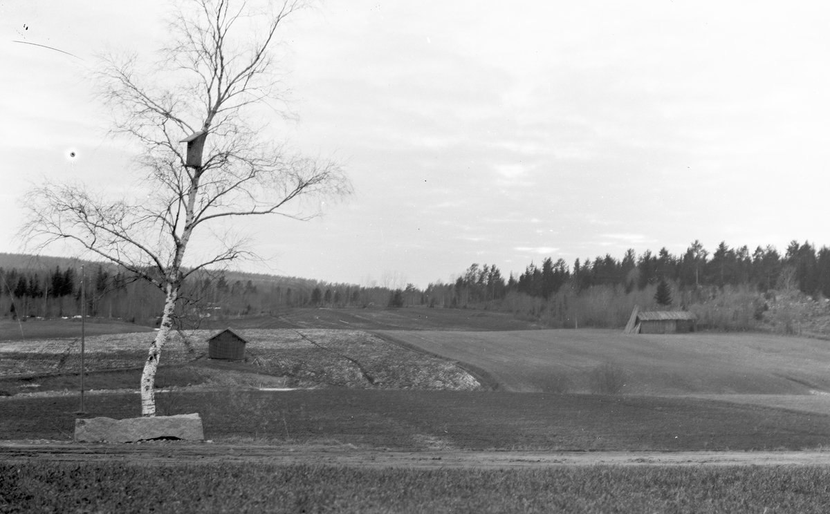Utsikt från Erik-Lars" mot väster, den gamla ladan till höger