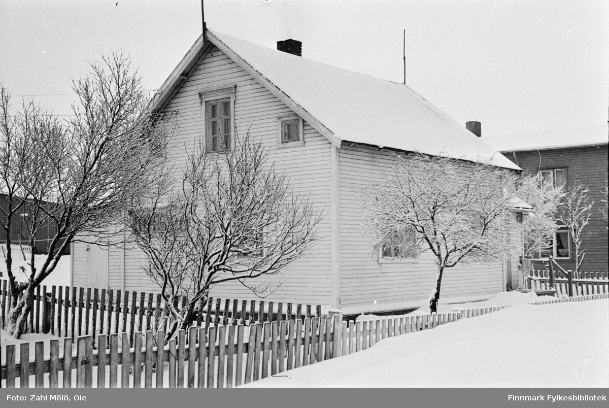 Fotografier fra Vadsø i tidsrommet 1967-68. Bjørketrær på vinterstid.