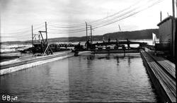 Tømmertunnelen i Eidet i Tune.
"Panorama ved utløpet av Eid