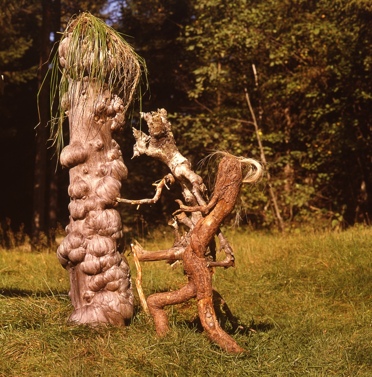 Trätrollet Skrälla Skrälle och en annan träfigur står vid en knotig stam med en grästuva på toppen.