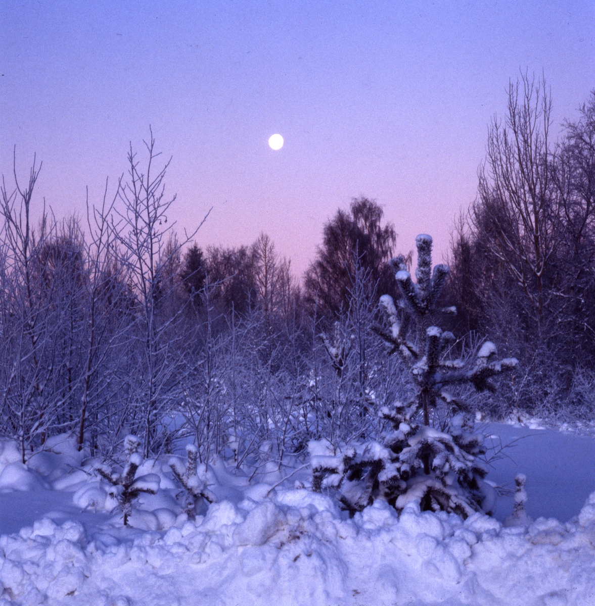 Vintermåne i Undersvik.