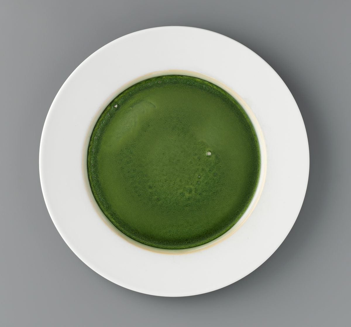 Monokromer [Installasjon]