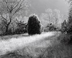 1999-64-05 [Fotografi]