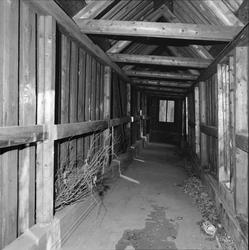 Kjeglebanen på Langaardløkken.