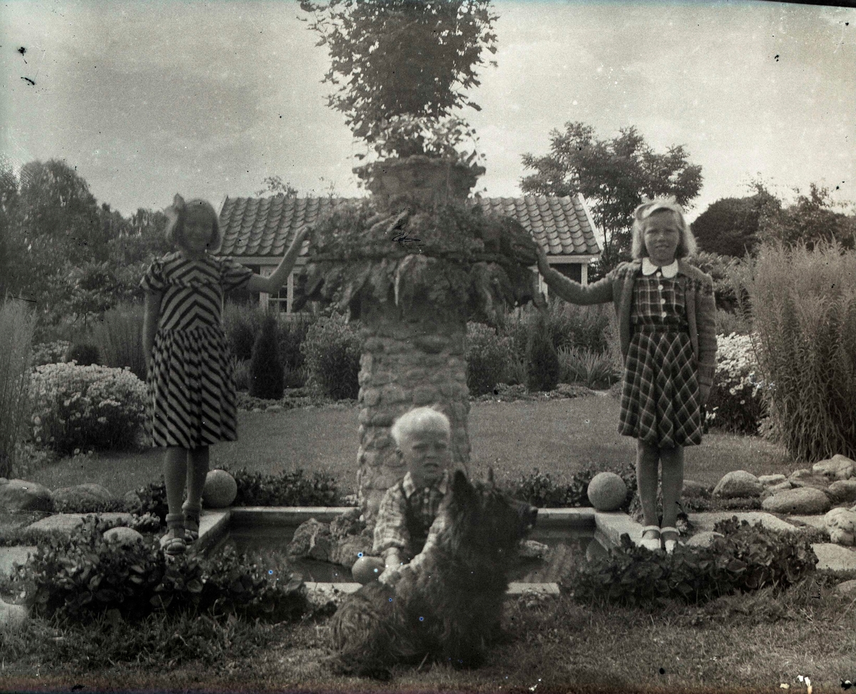 Några barn och en hund i Widebergska trädgården.