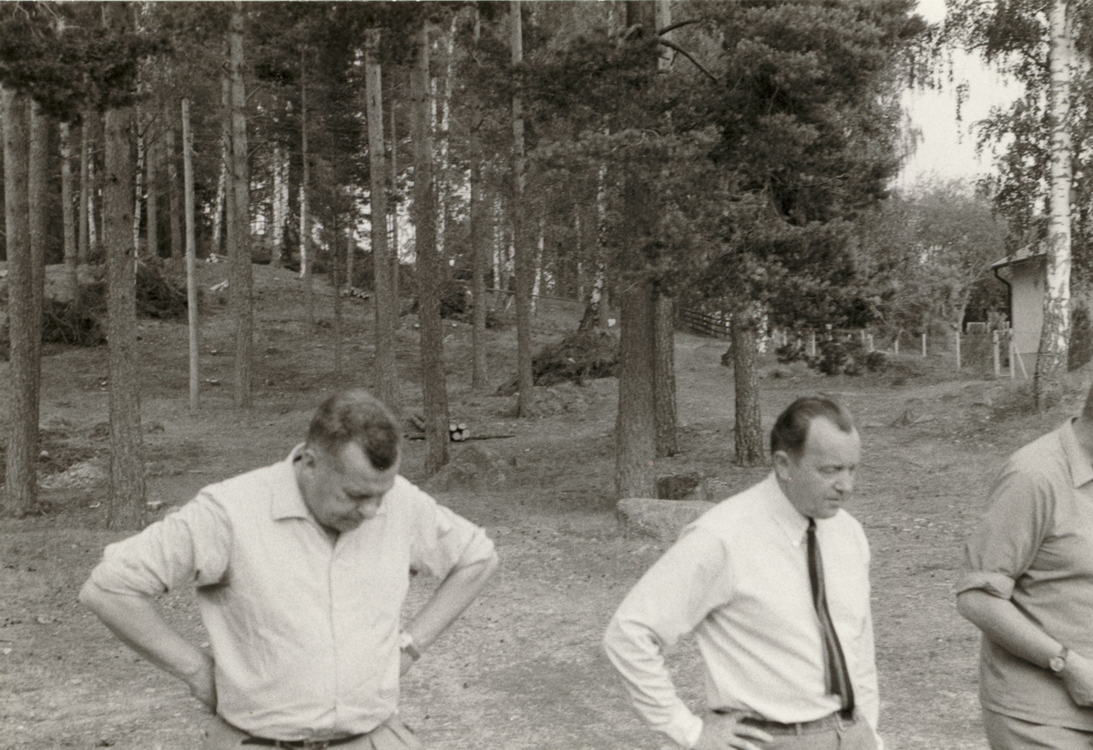 Tre personer vid Lunds kulle. En fornlämning finns på platsen. 

Foto: Dagmar Selling 1970