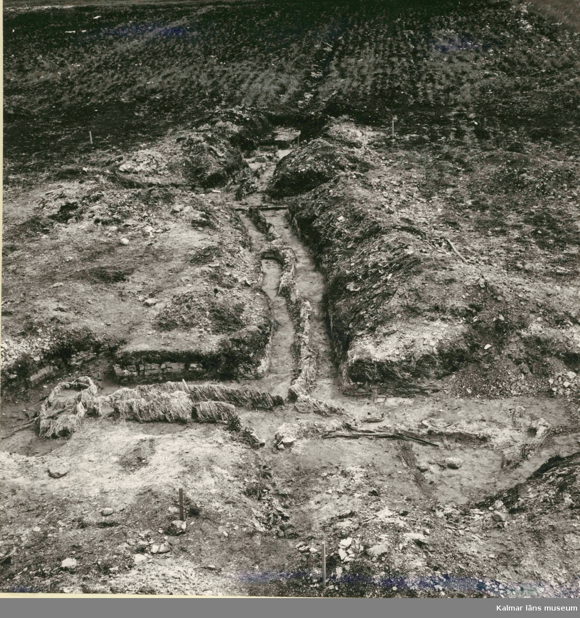 En ryssja, påträffad vid utgrävningen i Skedemosse.

Katsan (ryssjan) F 223