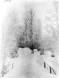 Vinterbilde fra Bergenhus kapellangård i Rakkestad (prestegå