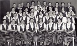 Hølera og Dølven Husmorlag, ca. 1978.