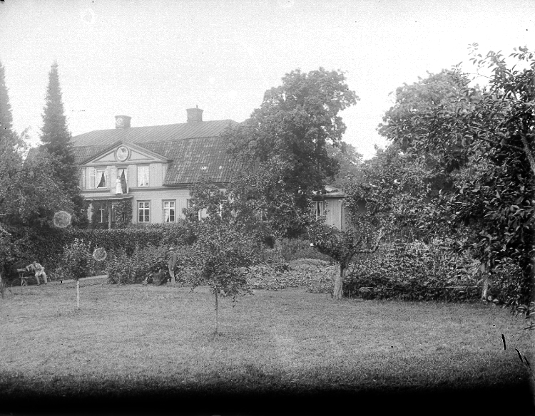 Tidaholmssamlingen.
Foto: Mivis eller Signe Lidwall.
Firman Ad. Lidwall i Tidaholm etablerades 1862. Mivis Lidwall f.1856 och Adolf Lidwall drev den tillsammans med sin dotter Signe.