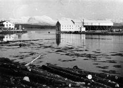 Nothuset på Nilsholmen, Fuglset, Bolsønes verft nothenget på