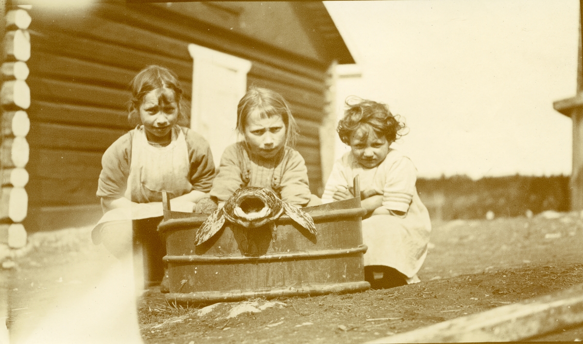 Tre jenter i Galåsen sittende foran kar m/stor gapende fisk oppi. 
Fra venstre: Målfrid Hauge f. Galaasen (1914), Ingebjørg Buflod f. Galaasen (1915 - 1999) og Elfrid Busk f. Galaasen (1919 - 2010)
