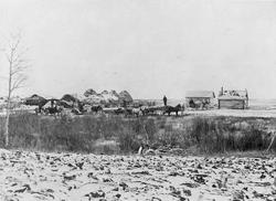 Hester, vogner, personer, uthus, naturforhold.