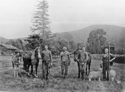 Slåttonn, hester, arbeidsfolk, hesje,