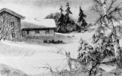 Postkort, bolighus, naturforhold, rev.