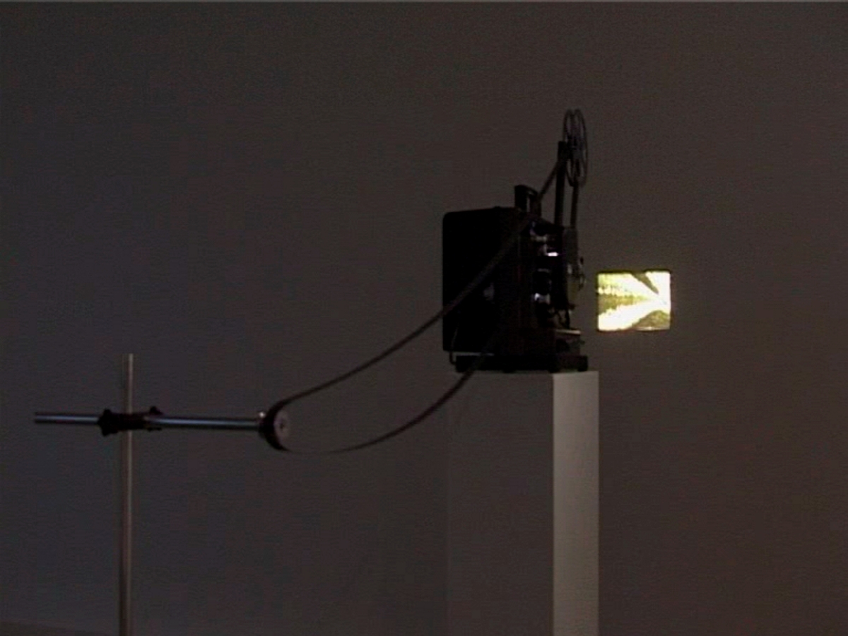 Down the Lane and Back Again [Film]