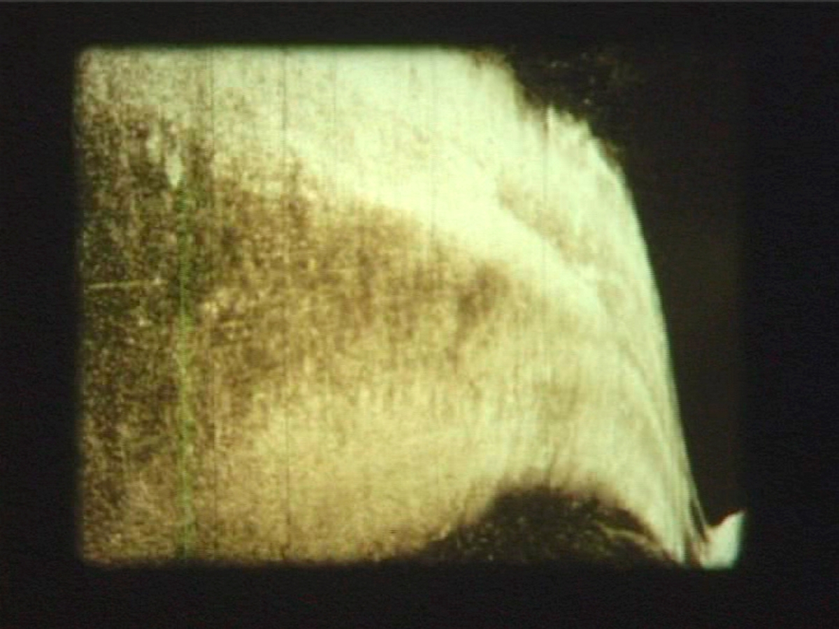 Down the Lane and Back Again [Film]