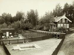 hønseri og andedam.
 Bilde fra Marie Knudtzon (1879-1966) si