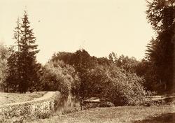 Bilde fra Marie Knudtzon (1879-1966) sin fotosamling. Se bil