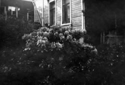 Ole Mollan &amp; Hildur Konstanse Eriksen Molla sitt hjem: g