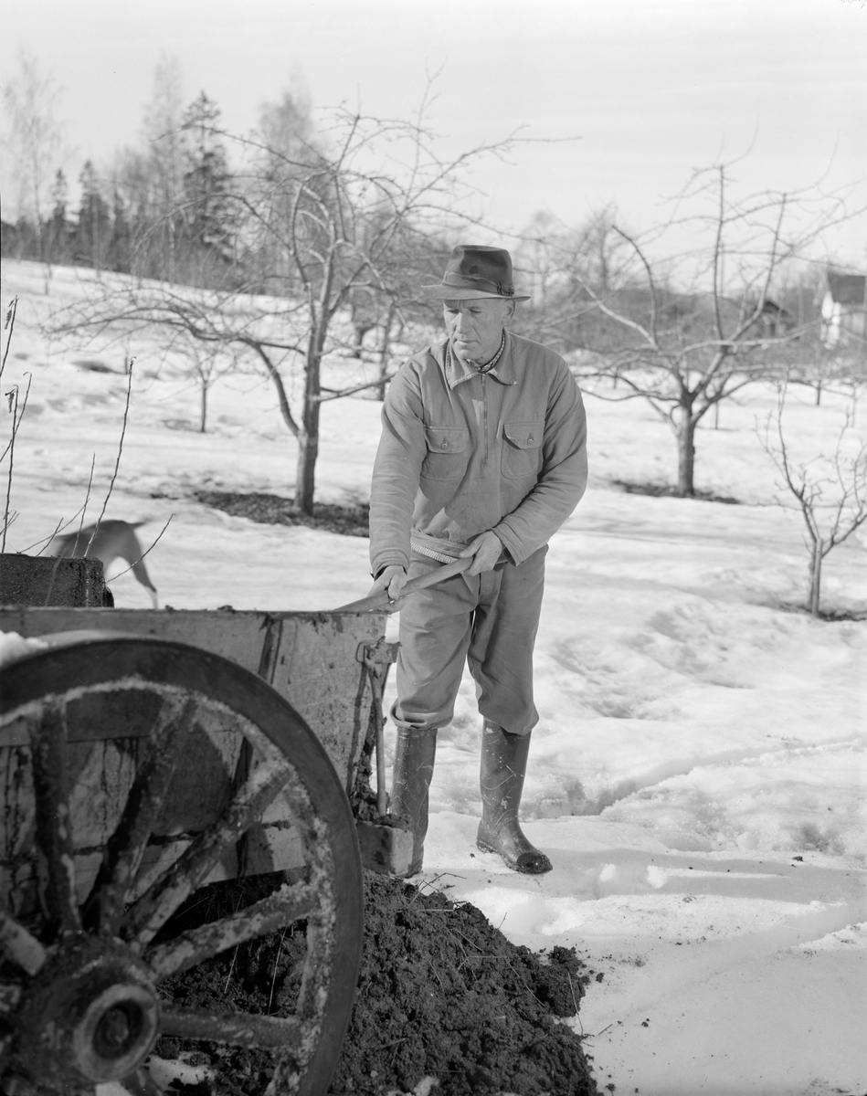Norsk landbruks jubileumsutstilling 1959. Mann med spade, kjerre med jord, landskap i vinterskrud.