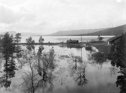 Fra Torkelsbu i Pålsbufjorden i flom
Torkelsbustryken 1926