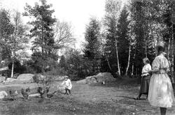 Barna til Marie og Theodor Bachmann mater høner. Kan det vær